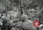 Image of 1st Marine Division Peleliu Palau Islands, 1944, second 33 stock footage video 65675022845