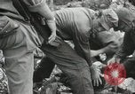 Image of 1st Marine Division Peleliu Palau Islands, 1944, second 40 stock footage video 65675022845