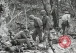 Image of 1st Marine Division Peleliu Palau Islands, 1944, second 46 stock footage video 65675022845