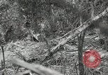 Image of 1st Marine Division Peleliu Palau Islands, 1944, second 56 stock footage video 65675022845