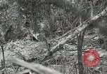 Image of 1st Marine Division Peleliu Palau Islands, 1944, second 58 stock footage video 65675022845