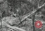 Image of 1st Marine Division Peleliu Palau Islands, 1944, second 59 stock footage video 65675022845