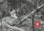 Image of 1st Marine Division Peleliu Palau Islands, 1944, second 60 stock footage video 65675022845