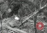 Image of 1st Marine Division Peleliu Palau Islands, 1944, second 61 stock footage video 65675022845