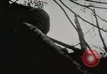 Image of 1st Marine Division Peleliu Palau Islands, 1944, second 17 stock footage video 65675022846