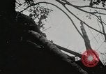 Image of 1st Marine Division Peleliu Palau Islands, 1944, second 18 stock footage video 65675022846