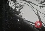 Image of 1st Marine Division Peleliu Palau Islands, 1944, second 20 stock footage video 65675022846