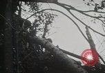 Image of 1st Marine Division Peleliu Palau Islands, 1944, second 21 stock footage video 65675022846