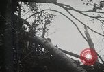 Image of 1st Marine Division Peleliu Palau Islands, 1944, second 22 stock footage video 65675022846