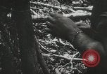 Image of 1st Marine Division Peleliu Palau Islands, 1944, second 23 stock footage video 65675022846