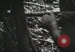 Image of 1st Marine Division Peleliu Palau Islands, 1944, second 24 stock footage video 65675022846
