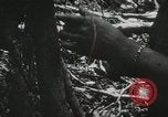 Image of 1st Marine Division Peleliu Palau Islands, 1944, second 25 stock footage video 65675022846