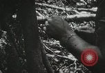 Image of 1st Marine Division Peleliu Palau Islands, 1944, second 26 stock footage video 65675022846