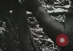 Image of 1st Marine Division Peleliu Palau Islands, 1944, second 27 stock footage video 65675022846