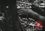 Image of 1st Marine Division Peleliu Palau Islands, 1944, second 28 stock footage video 65675022846