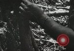Image of 1st Marine Division Peleliu Palau Islands, 1944, second 29 stock footage video 65675022846