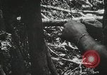 Image of 1st Marine Division Peleliu Palau Islands, 1944, second 30 stock footage video 65675022846