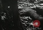 Image of 1st Marine Division Peleliu Palau Islands, 1944, second 31 stock footage video 65675022846
