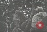 Image of 1st Marine Division Peleliu Palau Islands, 1944, second 39 stock footage video 65675022846