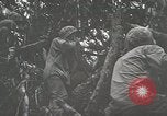 Image of 1st Marine Division Peleliu Palau Islands, 1944, second 40 stock footage video 65675022846