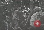 Image of 1st Marine Division Peleliu Palau Islands, 1944, second 41 stock footage video 65675022846
