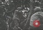 Image of 1st Marine Division Peleliu Palau Islands, 1944, second 42 stock footage video 65675022846