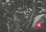 Image of 1st Marine Division Peleliu Palau Islands, 1944, second 43 stock footage video 65675022846