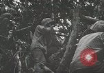 Image of 1st Marine Division Peleliu Palau Islands, 1944, second 44 stock footage video 65675022846