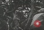 Image of 1st Marine Division Peleliu Palau Islands, 1944, second 45 stock footage video 65675022846
