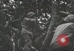 Image of 1st Marine Division Peleliu Palau Islands, 1944, second 46 stock footage video 65675022846