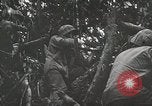 Image of 1st Marine Division Peleliu Palau Islands, 1944, second 47 stock footage video 65675022846