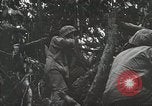 Image of 1st Marine Division Peleliu Palau Islands, 1944, second 48 stock footage video 65675022846
