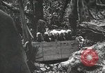 Image of 1st Marine Division Peleliu Palau Islands, 1944, second 49 stock footage video 65675022846