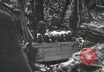 Image of 1st Marine Division Peleliu Palau Islands, 1944, second 52 stock footage video 65675022846