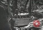Image of 1st Marine Division Peleliu Palau Islands, 1944, second 53 stock footage video 65675022846