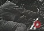 Image of 1st Marine Division Peleliu Palau Islands, 1944, second 57 stock footage video 65675022846