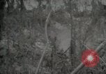 Image of 1st Marine Division Peleliu Palau Islands, 1944, second 14 stock footage video 65675022847