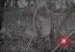 Image of 1st Marine Division Peleliu Palau Islands, 1944, second 15 stock footage video 65675022847