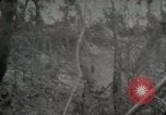 Image of 1st Marine Division Peleliu Palau Islands, 1944, second 17 stock footage video 65675022847