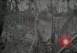 Image of 1st Marine Division Peleliu Palau Islands, 1944, second 18 stock footage video 65675022847