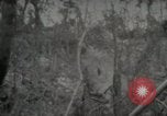 Image of 1st Marine Division Peleliu Palau Islands, 1944, second 19 stock footage video 65675022847