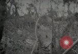 Image of 1st Marine Division Peleliu Palau Islands, 1944, second 20 stock footage video 65675022847