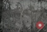 Image of 1st Marine Division Peleliu Palau Islands, 1944, second 21 stock footage video 65675022847
