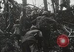 Image of 1st Marine Division Peleliu Palau Islands, 1944, second 24 stock footage video 65675022847