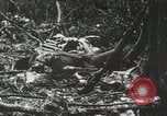 Image of 1st Marine Division Peleliu Palau Islands, 1944, second 35 stock footage video 65675022847