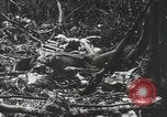 Image of 1st Marine Division Peleliu Palau Islands, 1944, second 37 stock footage video 65675022847