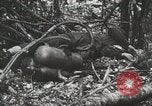Image of 1st Marine Division Peleliu Palau Islands, 1944, second 38 stock footage video 65675022847