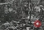 Image of 1st Marine Division Peleliu Palau Islands, 1944, second 45 stock footage video 65675022847