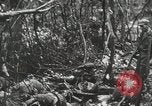 Image of 1st Marine Division Peleliu Palau Islands, 1944, second 46 stock footage video 65675022847