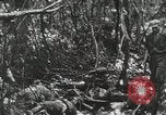 Image of 1st Marine Division Peleliu Palau Islands, 1944, second 47 stock footage video 65675022847